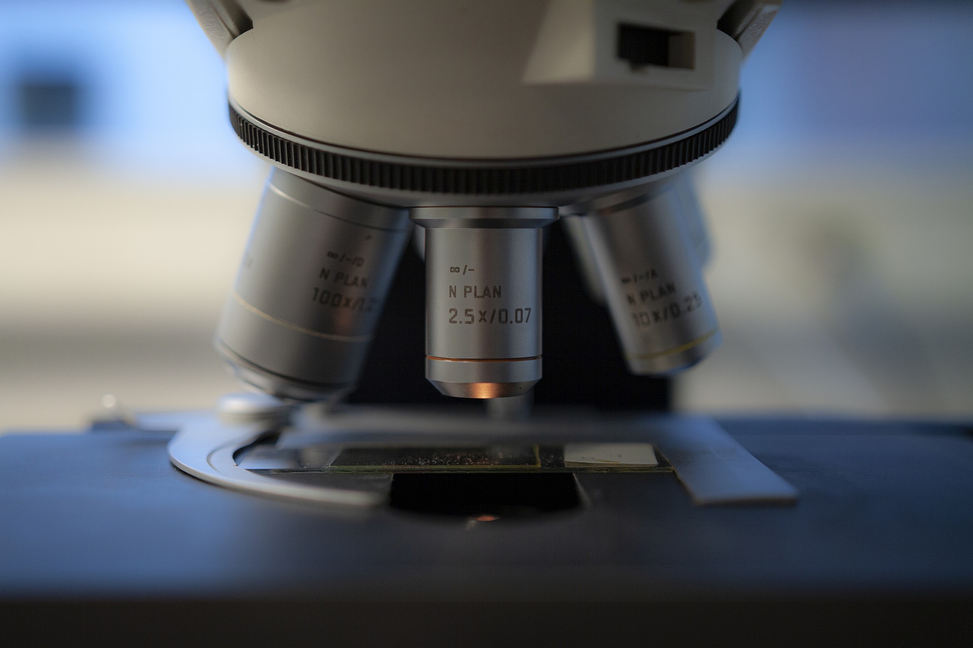 Microscopio