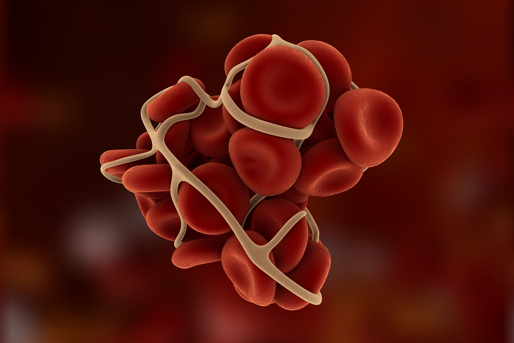 Coagulazione Sangue Siracusa