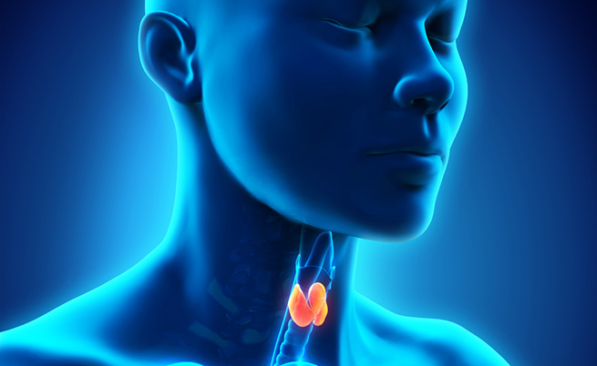 Endocrinologia Siracusa